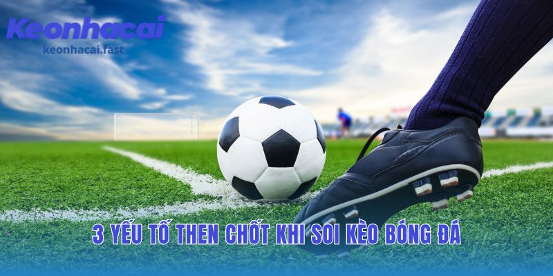 Cách soi kèo bóng đá dựa trên đội hình và chiến thuật toàn diện