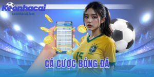 cá cược bóng đá: những điều cơ bản cần biết cho người mới bắt đầu
