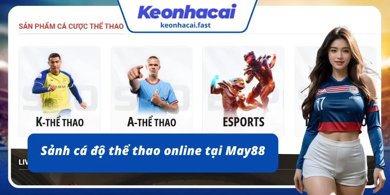 Tham gia cá độ thể thao - Đa dạng kèo cược 